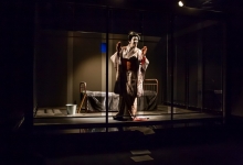 Мадам Мишима | Madame Mishima
